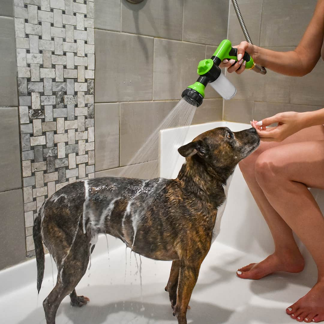 The PawPipe | All-in-One Dog Washer